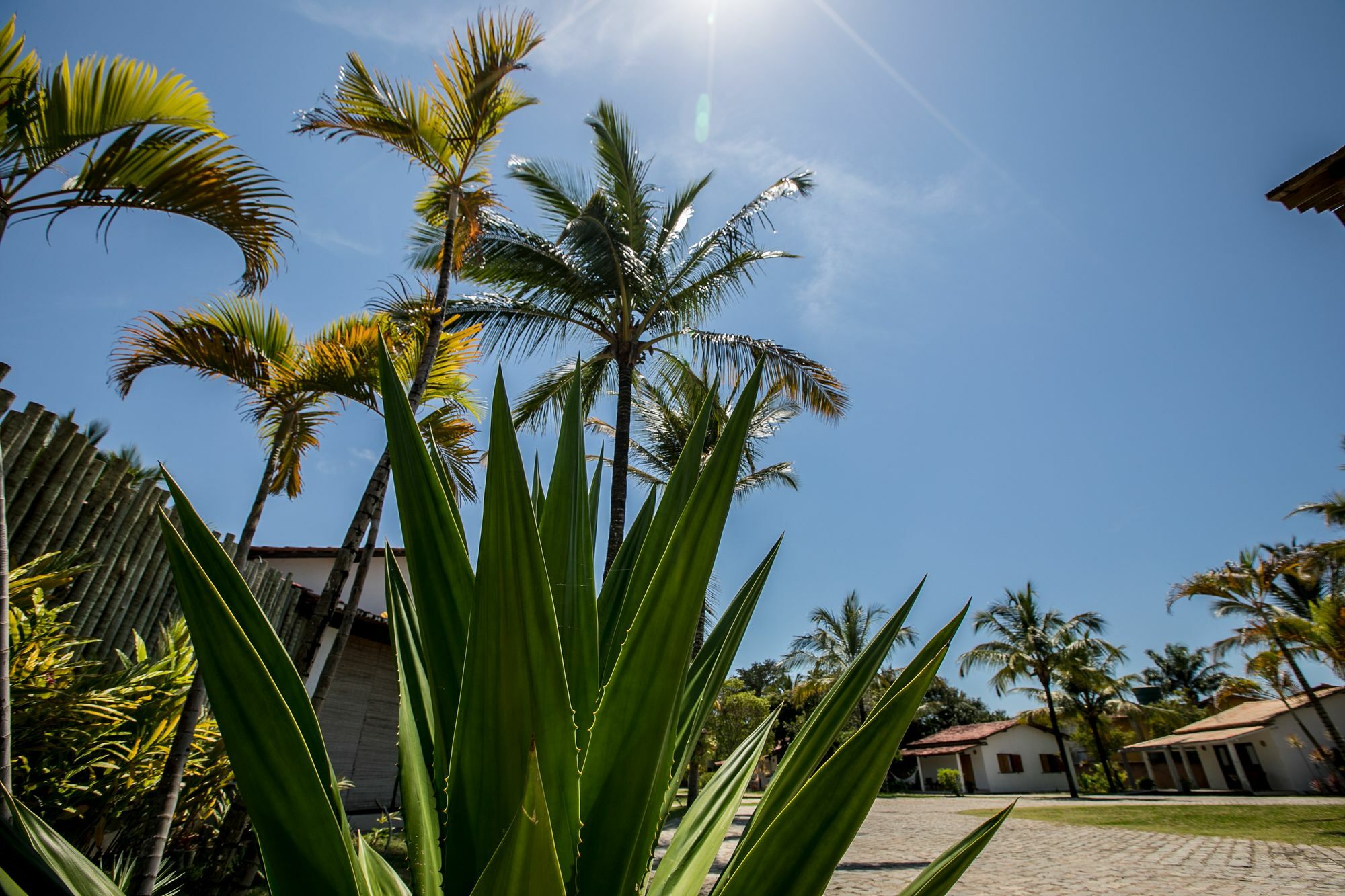 Vila Morena Trancoso Extérieur photo